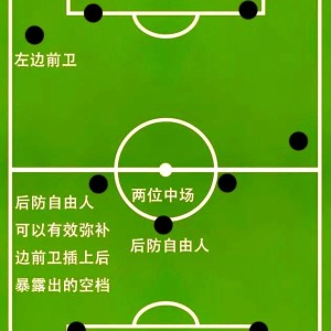 网页版入口-球风稳健，球队主帅如何做好全面部署(球队的成员分工)